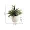 Flora Bunda® 6" Eucalyptus Plant in Ceramic Texture Planter